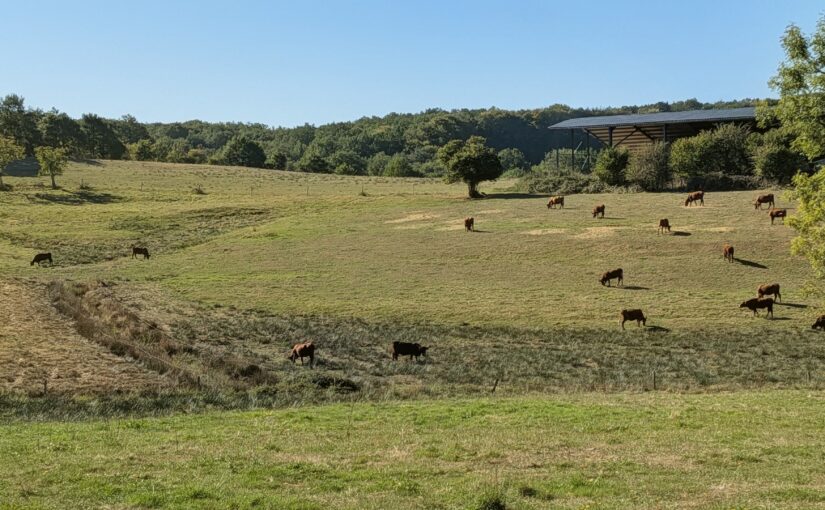 Séjour du Groupe de Marche en Corrèze – Septembre 2026